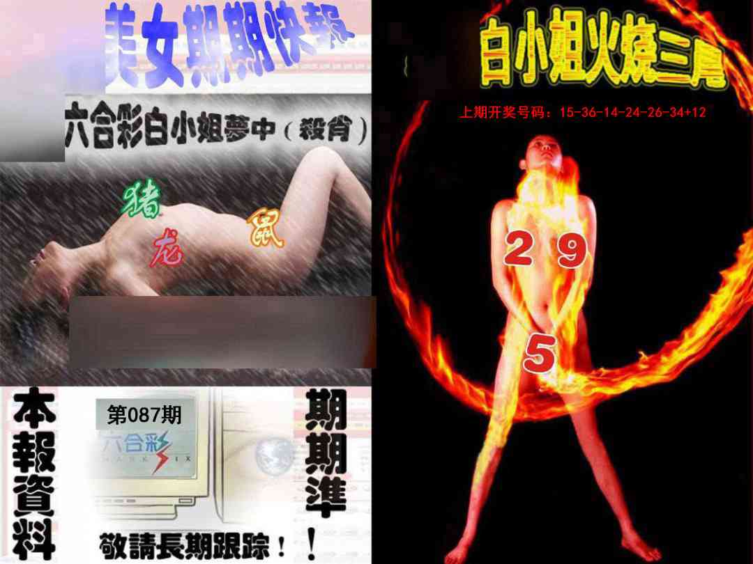 087期环球美女特码报[图]